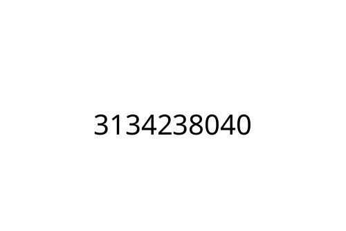 3134238040