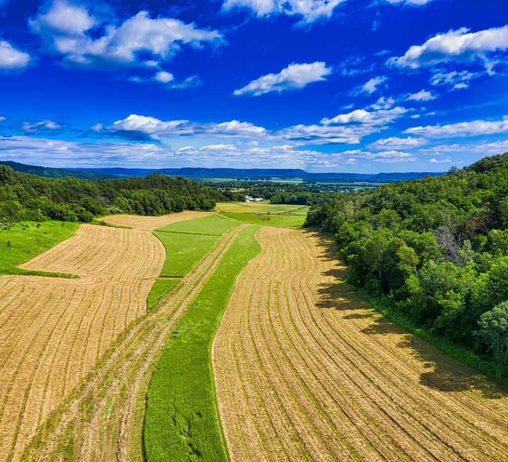 Vibrant aerial view of farmlands and forests in Kellogg, MN, showcasing nature's beauty in summer.