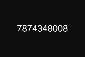 7874348008