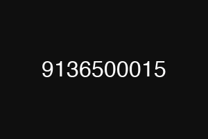 9136500015