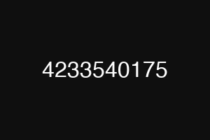 4233540175