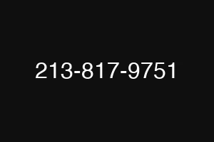 213-817-9751