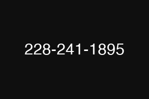 228-241-1895