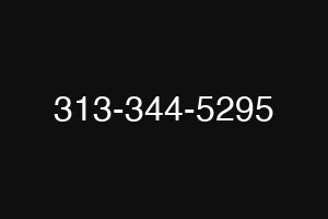 313-344-5295
