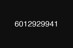 6012929941