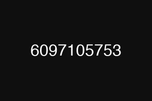 6097105753