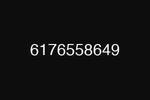 6176558649