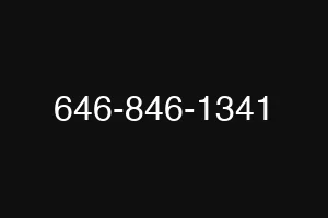 646-846-1341