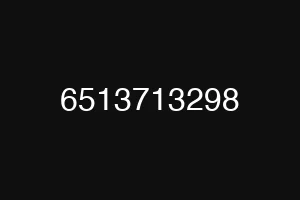 6513713298