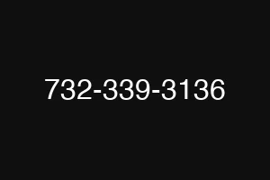 732-339-3136