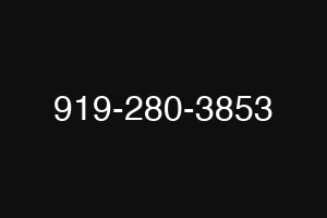 919-280-3853