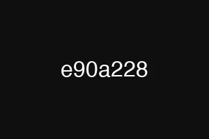 e90a228