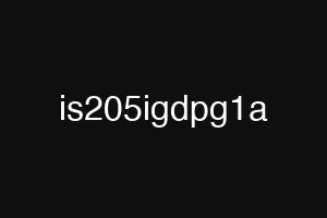 is205igdpg1a